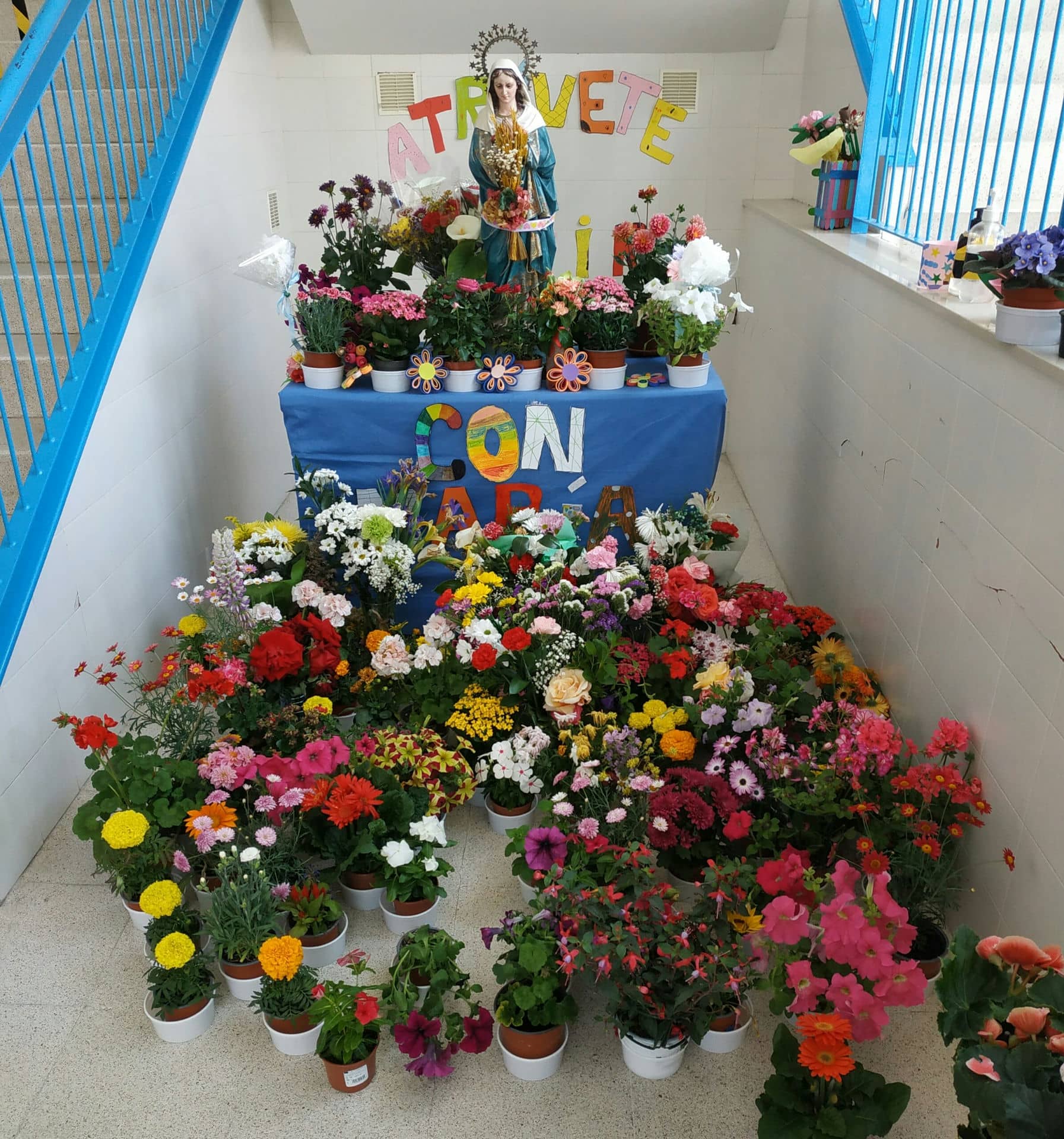 CELEBRACIO0NES MARÍA