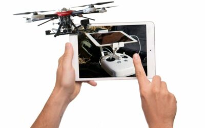 Dronótica. Primaria